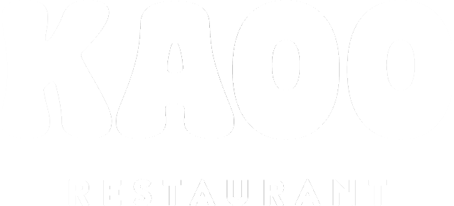 kaoo-logo-weiss-sm